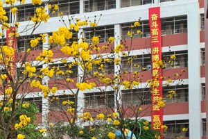 教学楼